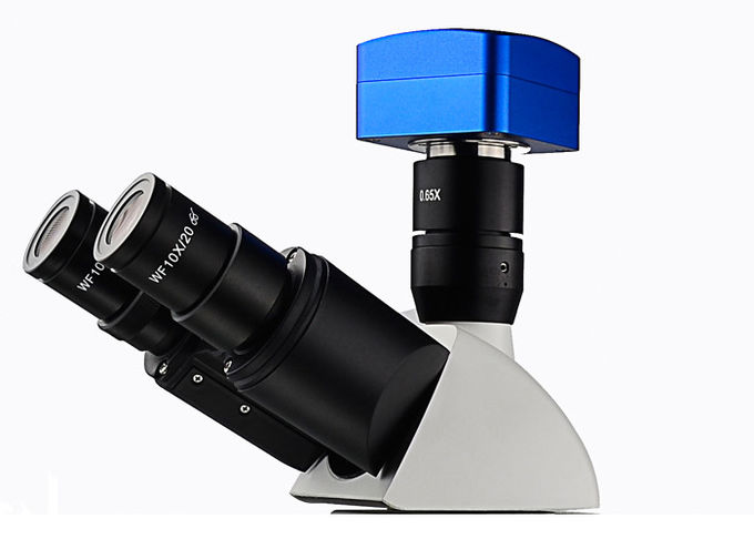 透過光の法廷の実験室のための直立したけい光顕微鏡UMT203i